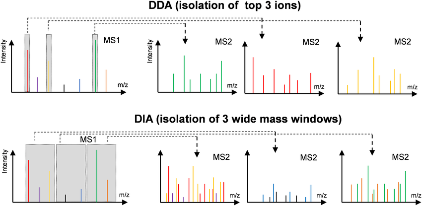 免疫肽组深度定量新纪元：基于DIA的全景式无偏检测服务