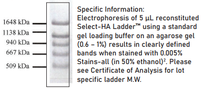 选择性透明质酸高梯度标准品Select-HA HiLadder，定制服务更优惠