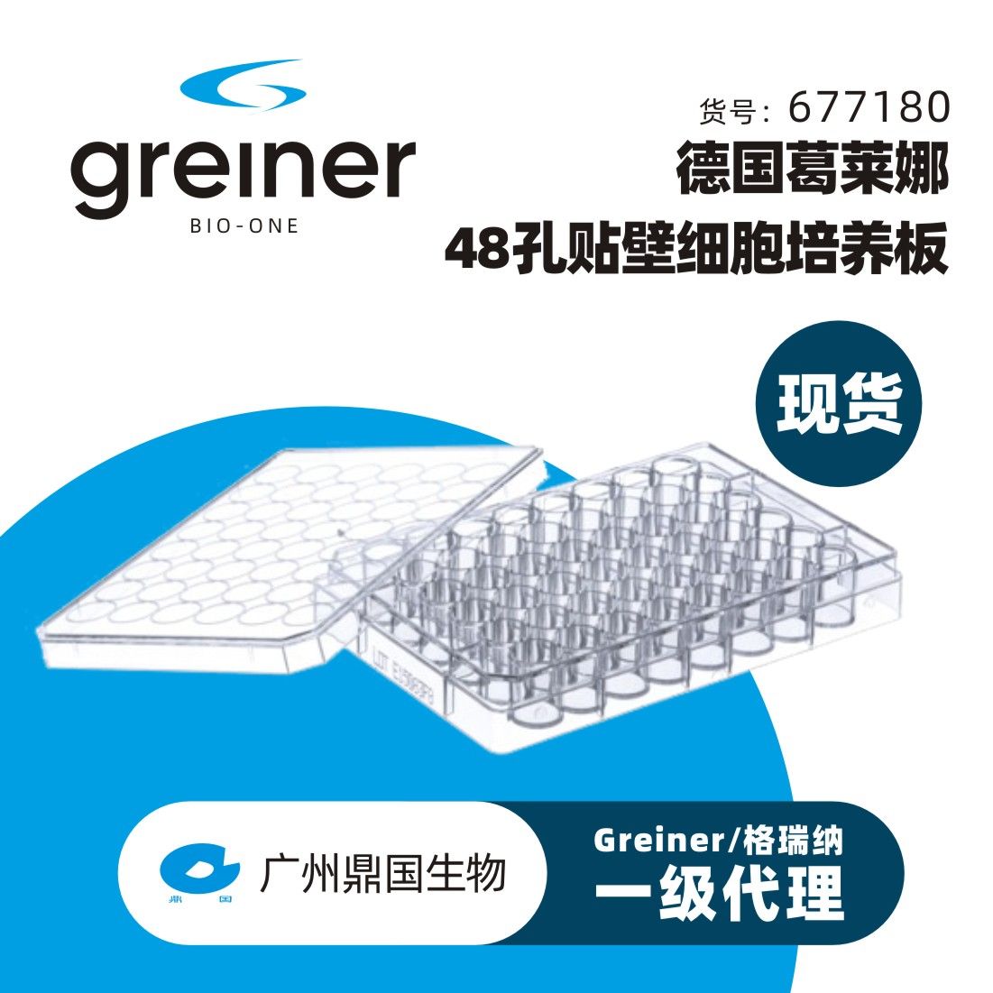 Greiner/格瑞纳 葛莱娜 48孔贴壁细胞培养板 677180