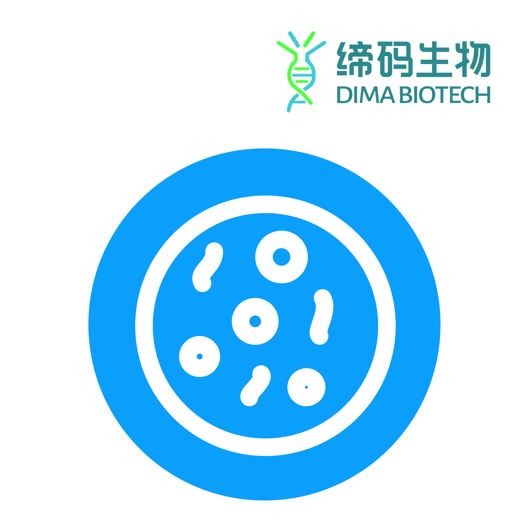 稳转细胞株/Hu_CLDN6 CHO-S Cell Line
