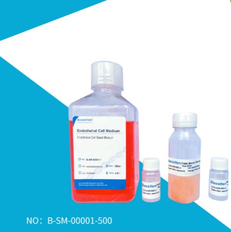 BiozellenSM内皮细胞培养基