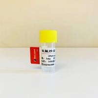 氧氟沙星单克隆抗体；氧氟沙星抗体； Ofloxacin（OFX）抗体