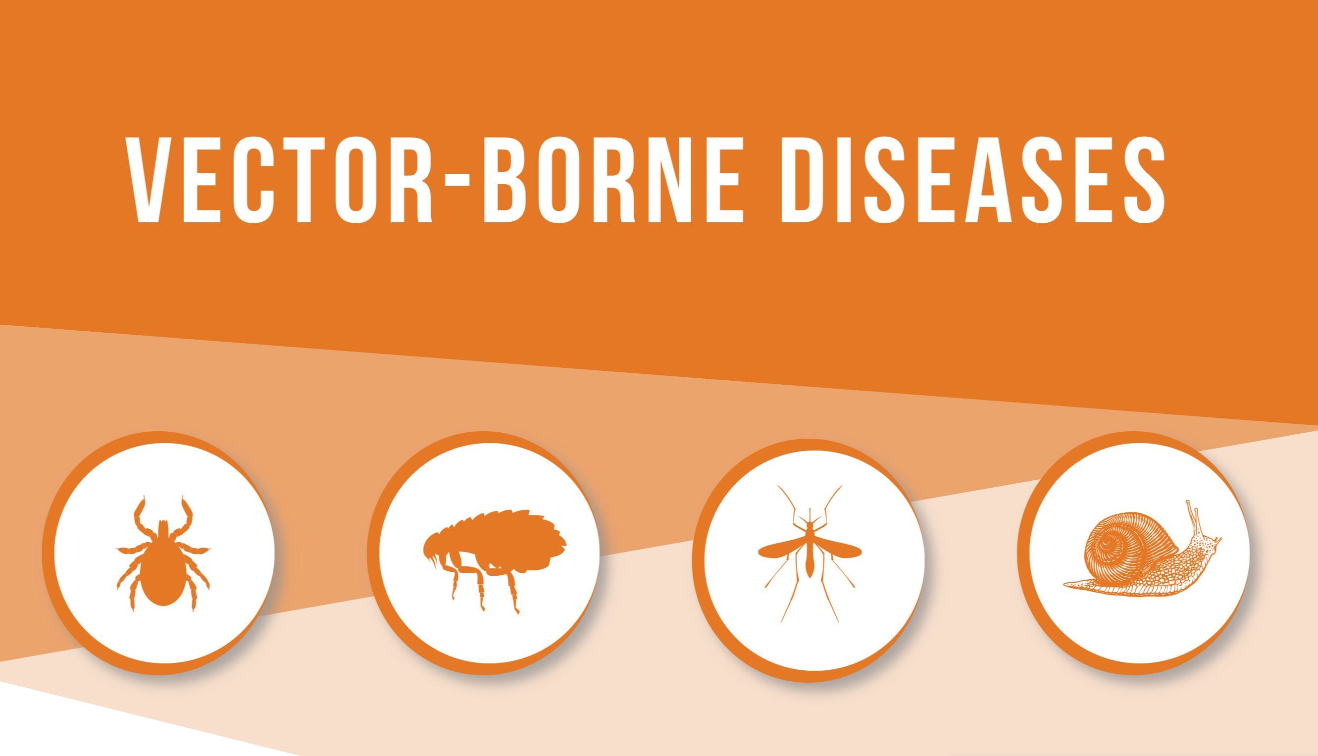 开发热带传染病诊断检测的优质抗原抗体原料及提高检测特异性建议