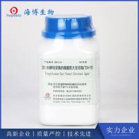 含0.6%酵母膏的胰酪胨大豆琼脂（TSA-YE）