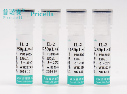 重组IL-2蛋白在NK-92细胞培养中的免疫调节机制与应用解析
