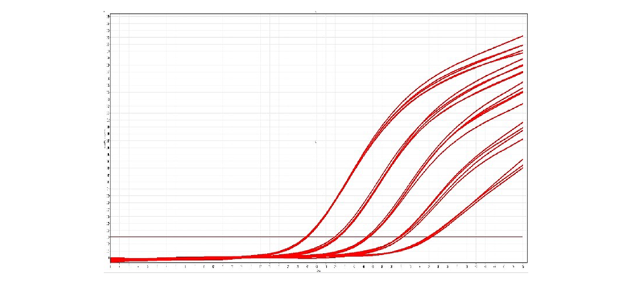 高通量 dUTP qPCR 预混液图