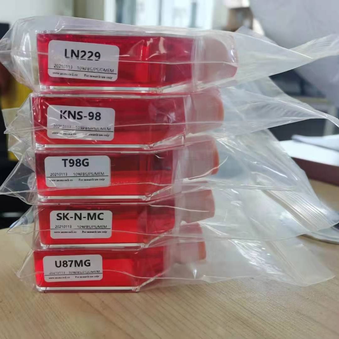 人乳腺癌细胞带红色荧光MDA-MB-231+RFP(STR鉴定正确)