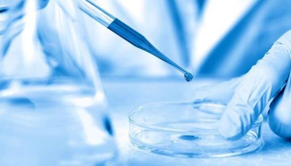 干扰素 -γ（IFNγ）调控软脑膜抗肿瘤免疫应答的机制研究