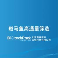 斑马鱼高通量筛选