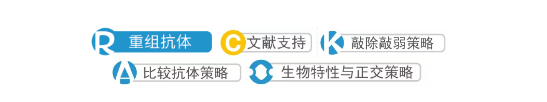 抗体五重验证.png