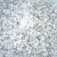 3dGRO Ileum Intestinal Organoids, Age 51 (Prep ht-104-I)