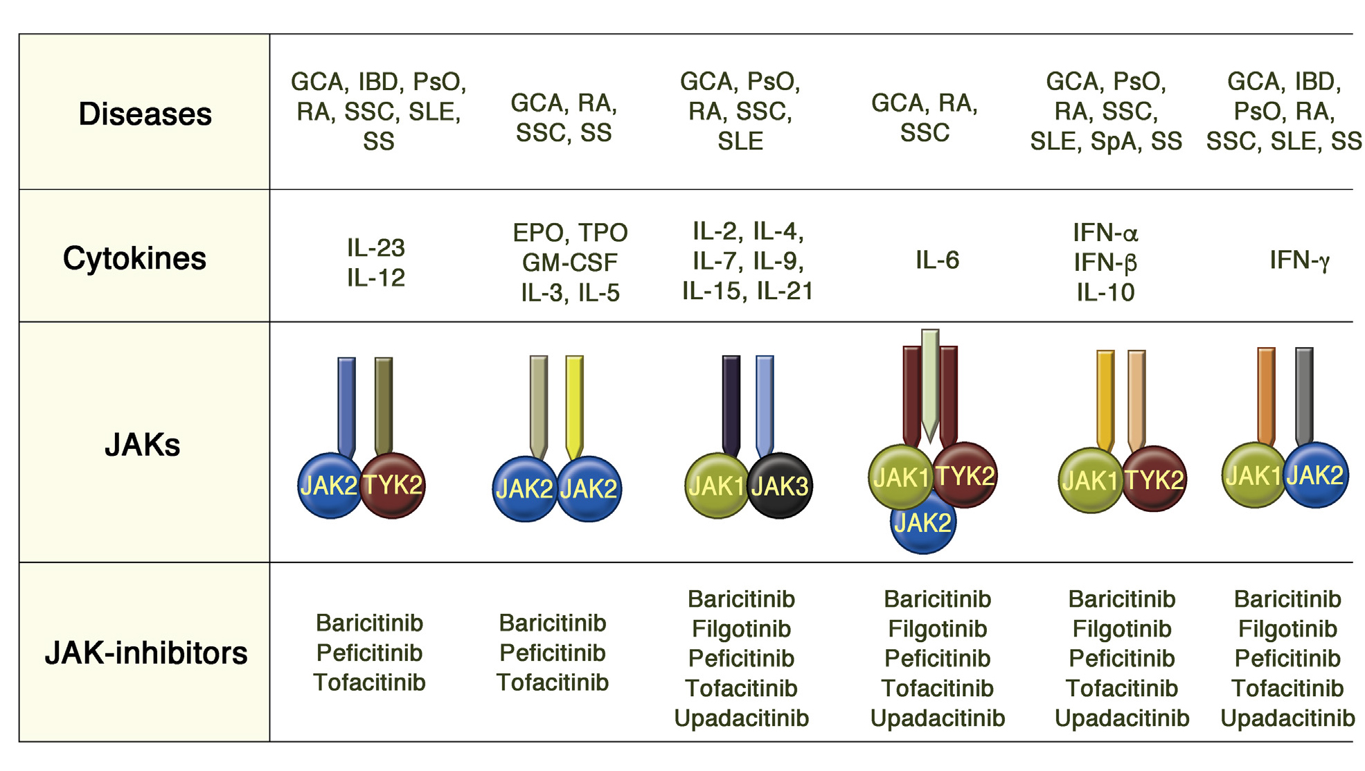 重温Nature系列经典综述，盘点JAK激酶在自免疾病领域的研究新进展