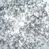 3dGRO Duodenum Intestinal Organoids, Age 50 (Prep ht-188-D)