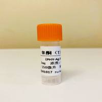 睾酮单克隆抗体；睾酮抗体；Testosterone（T）抗体；睾酮偶联抗原；睾酮抗原