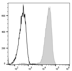 Elabscience PE/Cyanine5.5标记CD11b抗体，助力免疫研究精准分析！