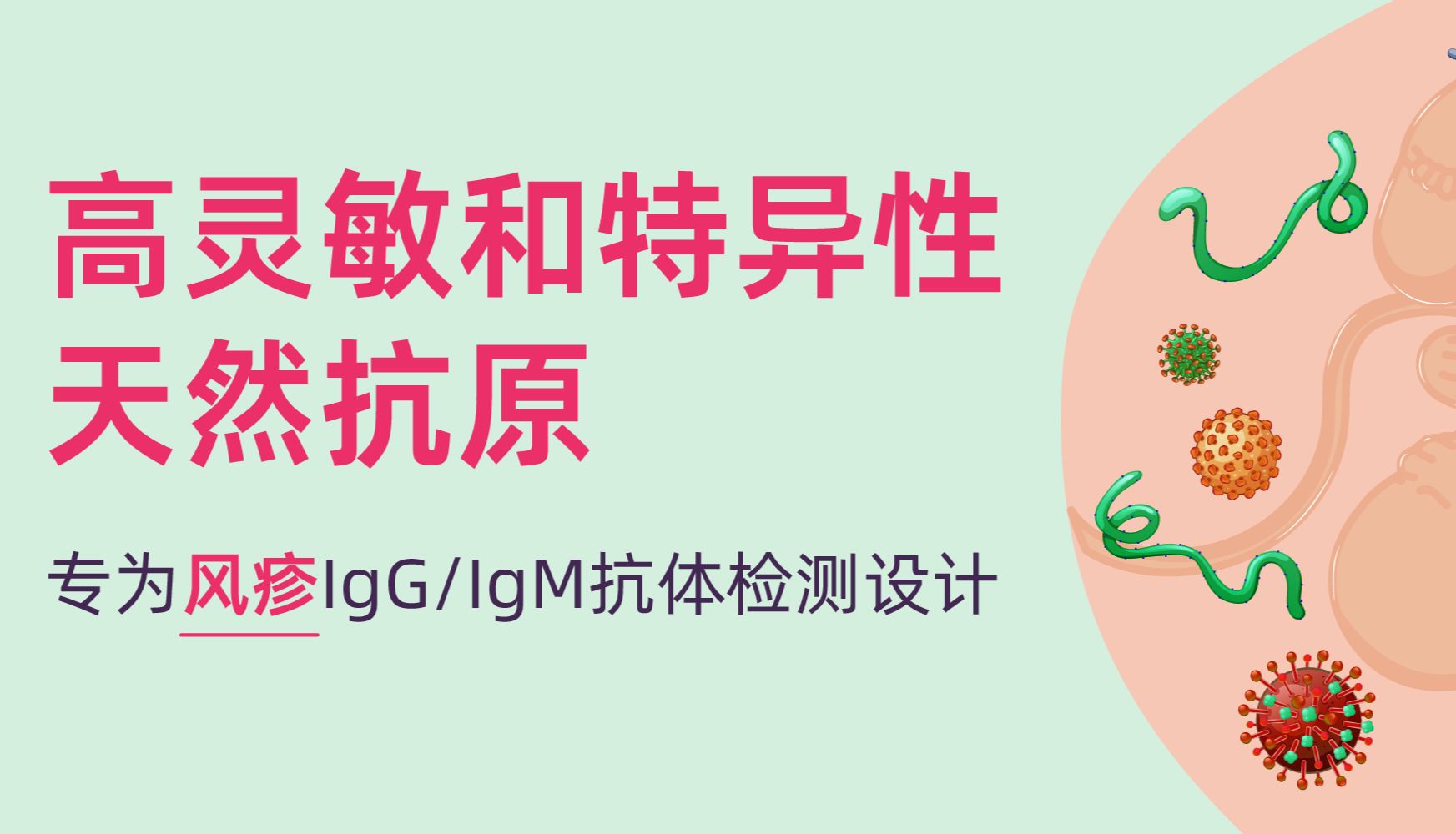 风疹检测：选对原料，开启精准诊断之门，护航胎儿未来