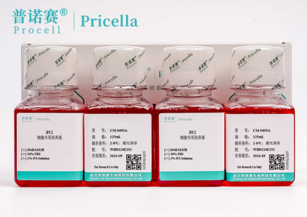 科研级BV2专用培养基：维持小胶质细胞最佳生长状态的核心工具