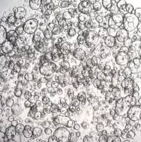 3dGRO Transcending Colon Intestinal Organoids, Age 59 (Prep ht-215-CT)