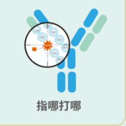 非天然氨基酸插入服务