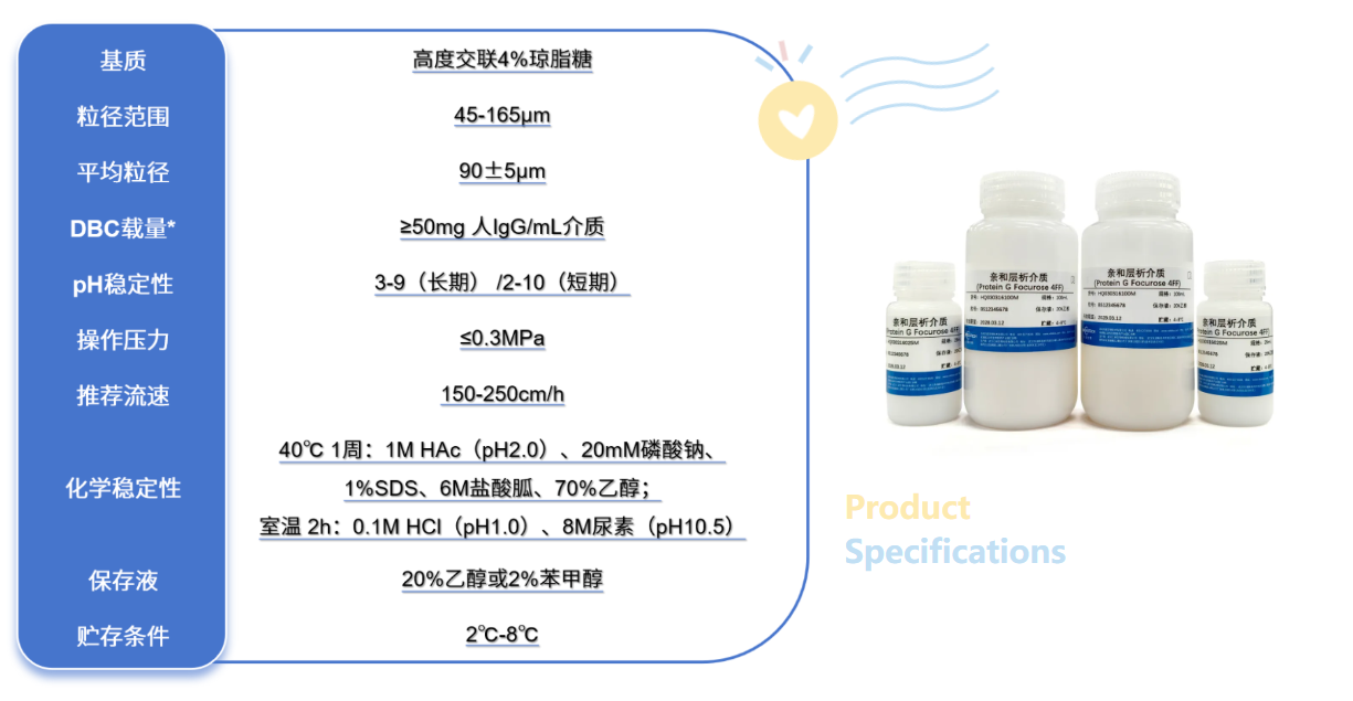 新品速递丨超高载量Protein G 亲和层析介质全新升级