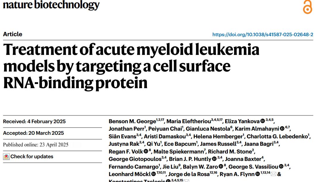 RNA糖基化研究成果 | Nat Biotech：细胞表面csNPM1成广谱免疫治疗新靶点​