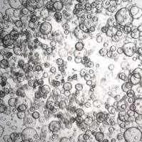 3dGRO® Duodenum Intestinal Organoids, Age 55 (Prep HT-352-D)