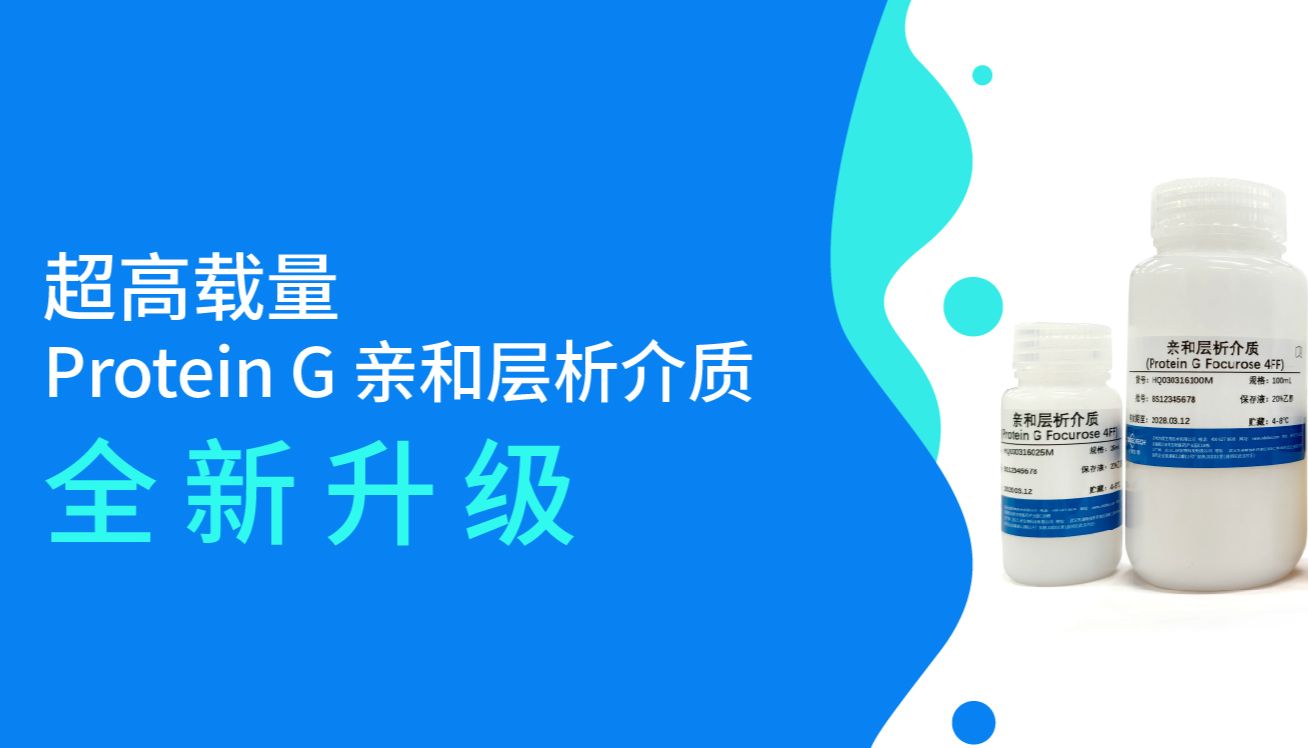 新品速递丨超高载量Protein G 亲和层析介质全新升级