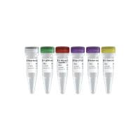 两步法 RT-qPCR 选用预混液（去基因组） HiScript II Q Select RT