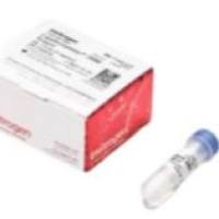 Invitrogen 脂质体2000转染试剂 11668019