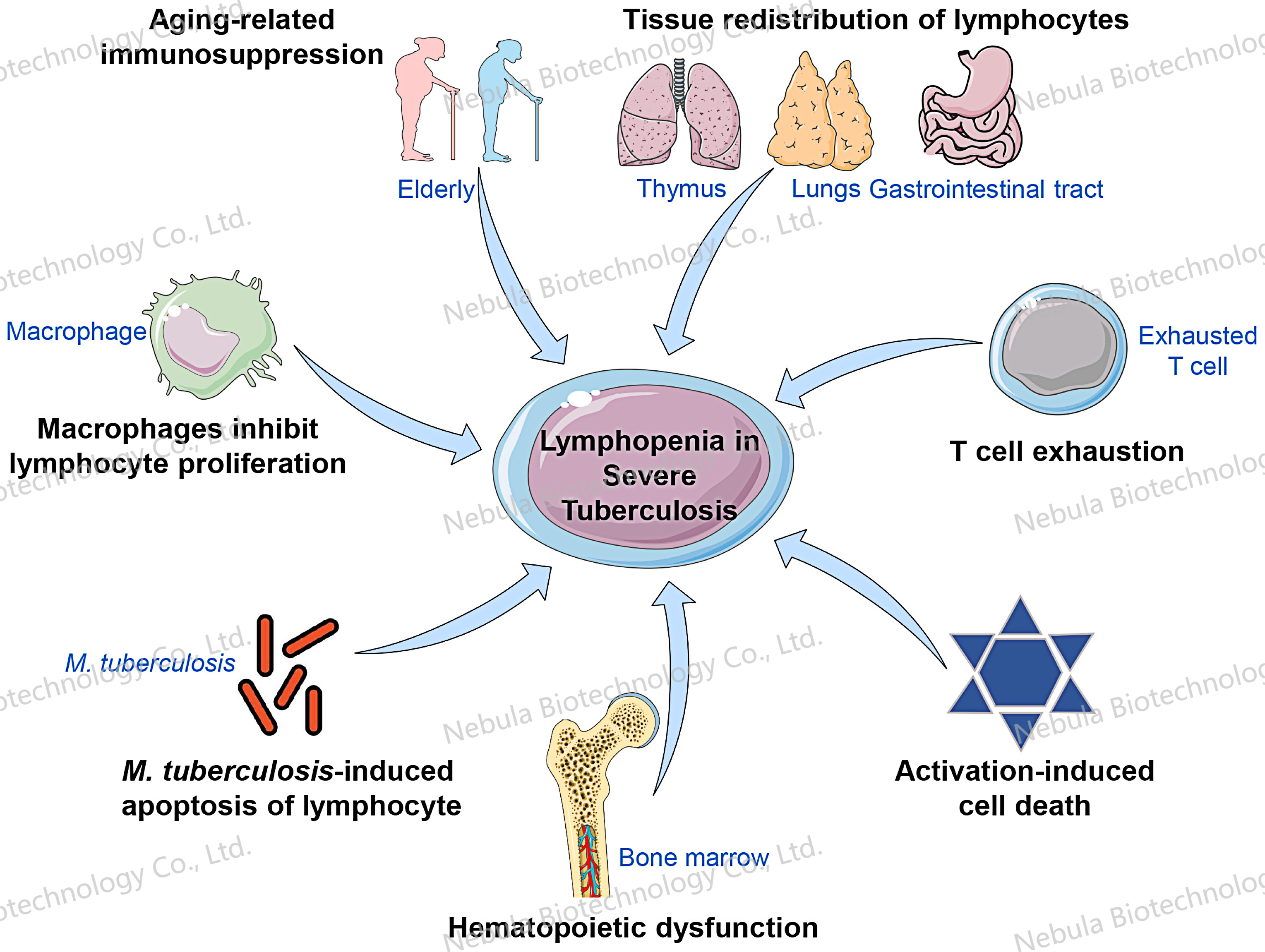 诊断原料讲堂之七：传染病生物标志物