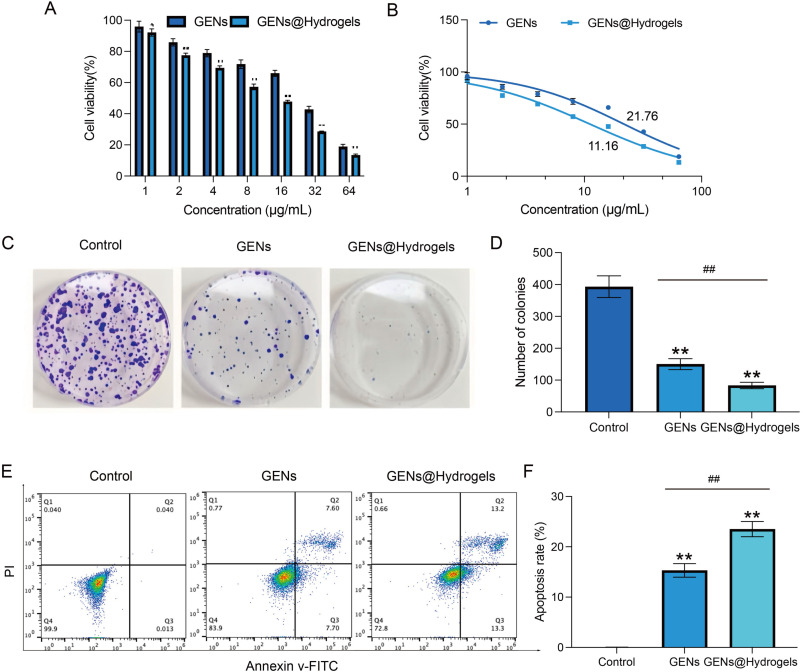 细胞实验 细胞实验