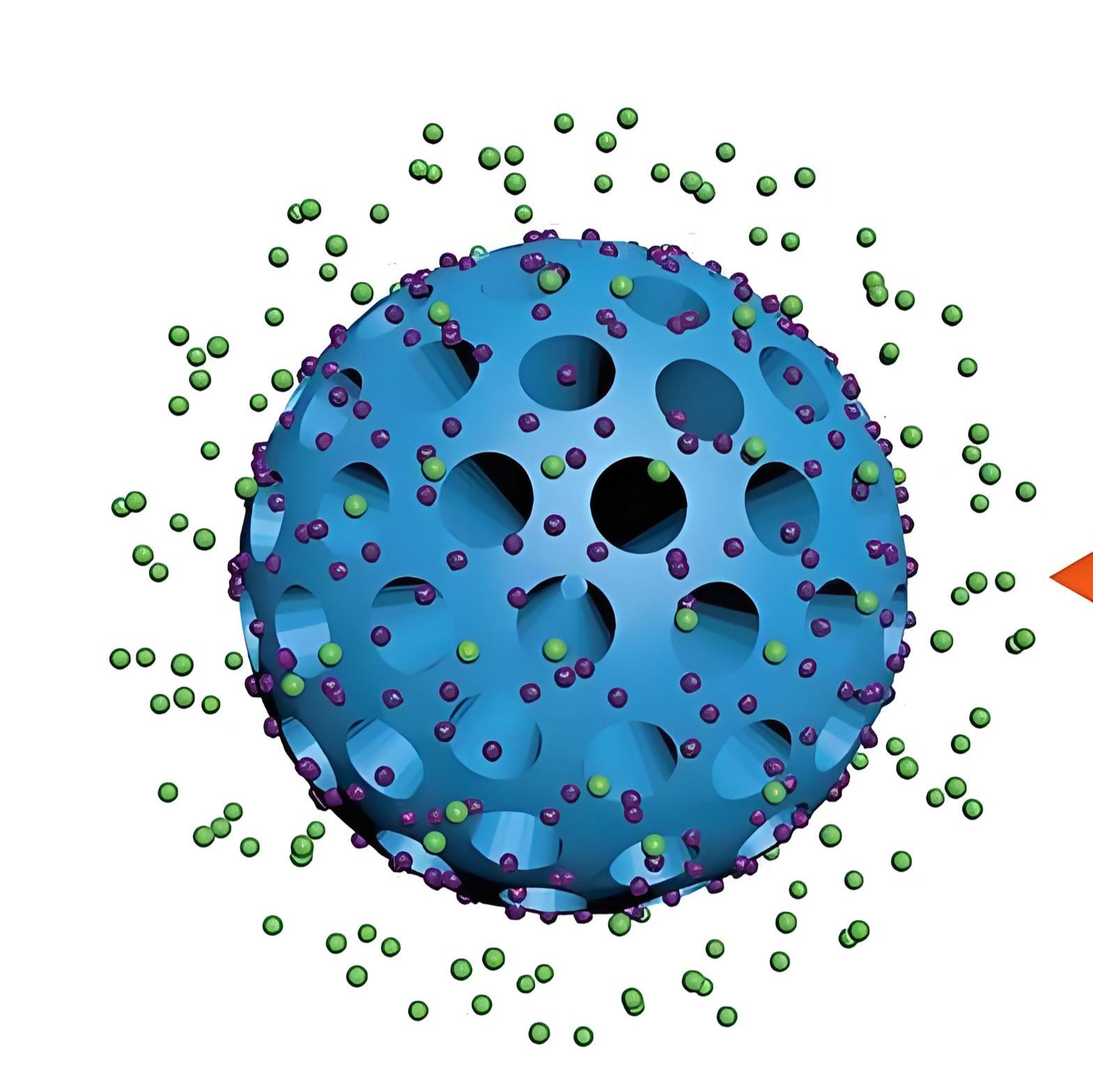 负载NLRP3抑制剂(CY-09)的聚多巴胺纳米颗粒被抗CD47抗体修饰  CY-09@PDA NPs-CD47