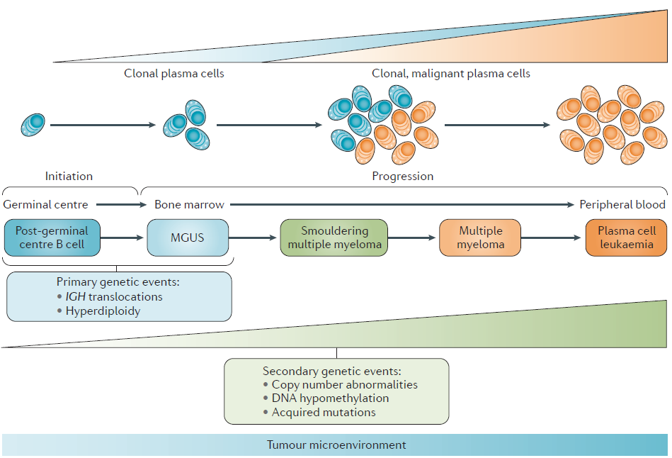 流例说——面对人类第二常见的血液系统恶性肿瘤，流式如何应对？