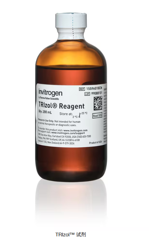 Invitrogen货号15596-018CN现货TRIzo