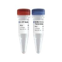 稳定可靠的逆转录酶 M-MLV (H-) Reverse Transcriptase（R021）