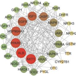 网络药理学/毒理学分析