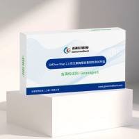 GMOne-Step 2.0荧光素酶报告基因检测试剂盒