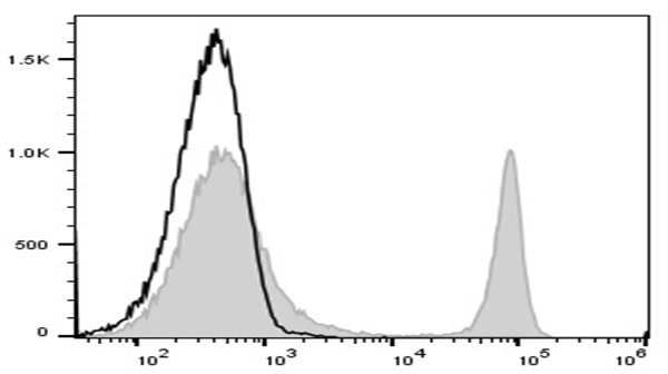 适配多场景研究｜Elabscience CD4 单克隆抗体支持小鼠模型，助力免疫细胞分型与功能分析