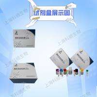 （M1)elisa试剂盒