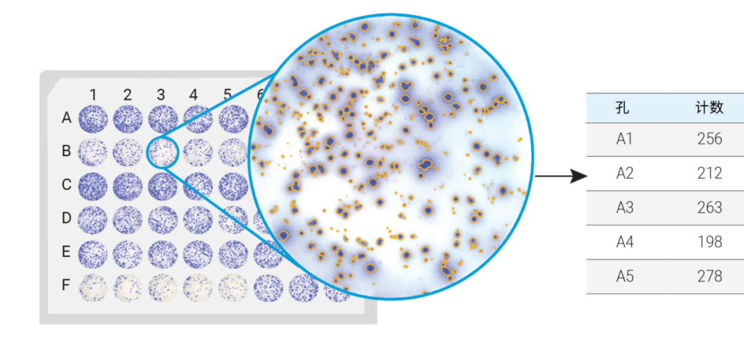 疫苗研发中的“碎片化“实验，如何一机破局？