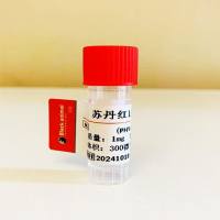 苏丹红1型单克隆抗体;苏丹红抗体;Sudan I抗体;苏丹红抗原