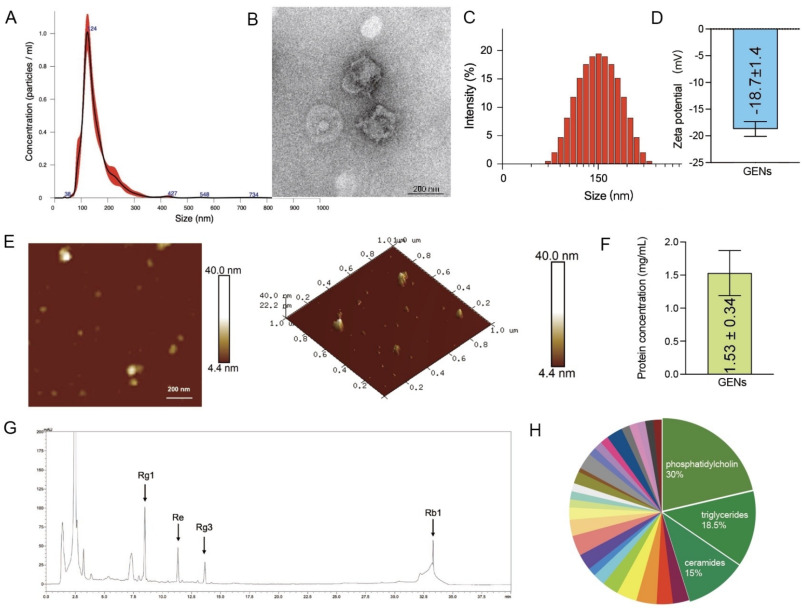 植物外泌体鉴定 植物外泌体鉴定