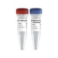 更高效的第三代逆转录酶 HiScript III Reverse Transcriptase（R