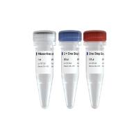 一步法高效RT-PCR试剂盒 HiScript II One Step RT-PCR Kit (Dye Plus)(P612)