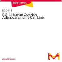 默克Merck BG-1 Human Ovarian Adenocarcinoma Cell Line