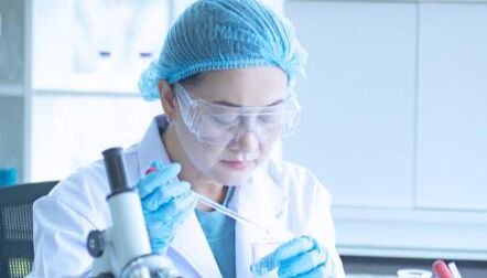 有袋类与真兽类胚胎中 DNA 甲基化动态差异：揭示哺乳动物胚胎发育表观遗传机制的进化多样性