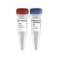 新一代逆转录酶HiScript II Reverse Transcriptase（R201）