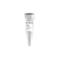 快速酶连克隆试剂盒 5 min Universal Ligation Mix（C311）