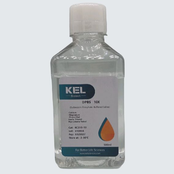 DPBS，不含钙和镁，不含酚红，10X