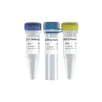 5 min TA/Blunt-Zero Cloning Kit(基于拓扑异构酶的超快速克隆试剂盒)(C601)